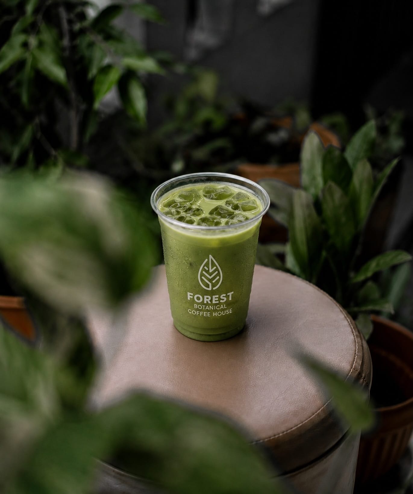 An iced matcha in a Forest cup among the plants